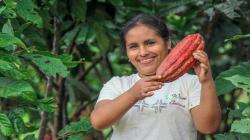 Superando la brecha de productividad en la Amazonía peruana