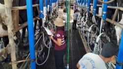 UNALM y Comité Regional de Productividad Lechera de Lima otorgarán reconocimientos a establos lecheros que se encuentran inscritos en el Servicio Oficial de Productividad Lechera