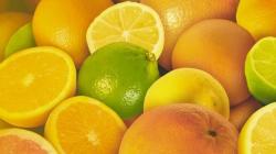 WCO expresa su preocupación por los protocolos privados de seguridad alimentaria y su impacto en la citricultura