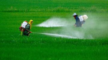 Congreso: Presentan proyecto de ley que prohíbe importación, fabricación, almacenamiento y comercialización de plaguicidas agrícolas altamente peligrosos