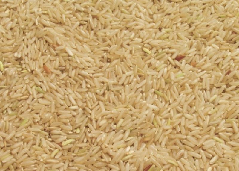  “MONTAÑITA” DUPLICARÍA ÁREAS Y RENDIMIENTO DE ARROZ ORGÁNICO 