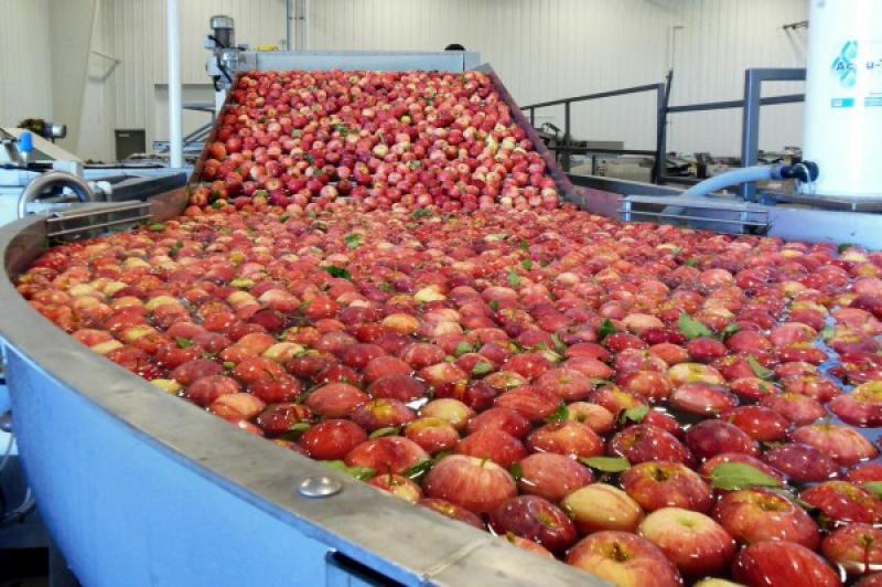 2018 mostró un moderado descenso en la importación de manzanas