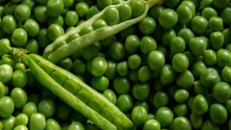 2024 fue el mejor año para la exportación de arveja de Perú