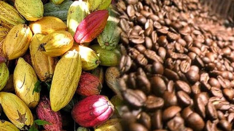 26 Convención Nacional de Café y Cacao se realizará hoy y mañana en Lima