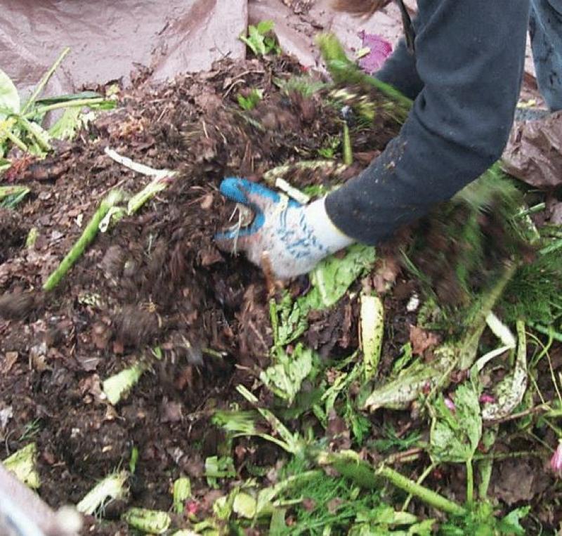 50% DE PRODUCTORES AGROPECUARIOS USAN LOS RESIDUOS PECUARIOS COMO ABONO