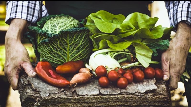 600 millones de personas enferman por alimentos contaminados y el cuidado en campo es la clave para evitarlo