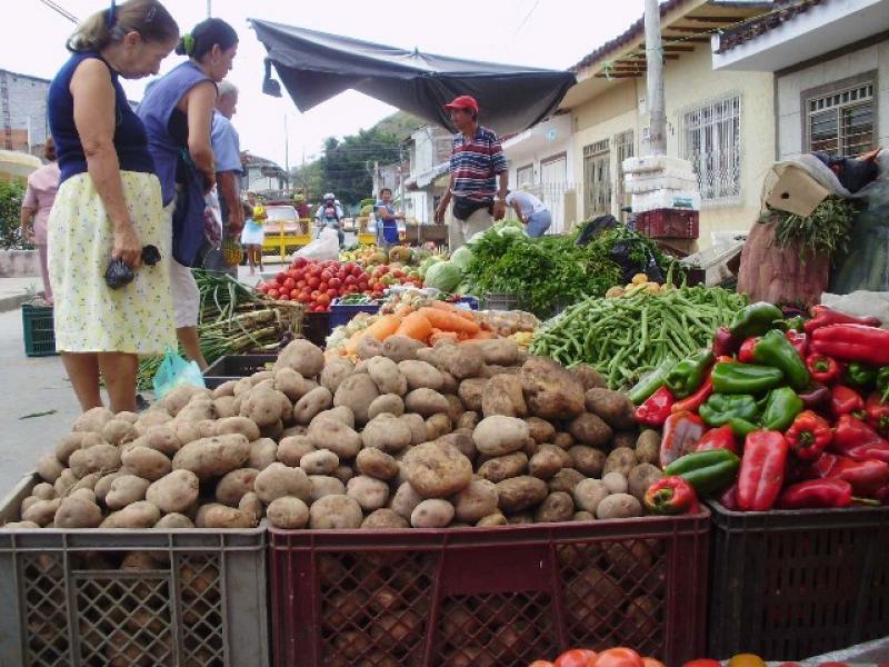 70% DE LOS ALIMENTOS EN LOS MERCADOS PROVIENE DE LA PEQUEÑA AGRICULTURA