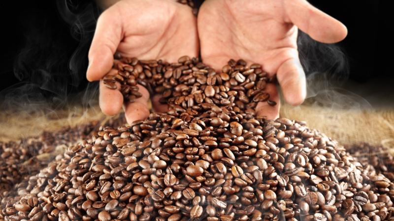 A octubre, exportaciones peruanas de café suman US$ 1.321 millones