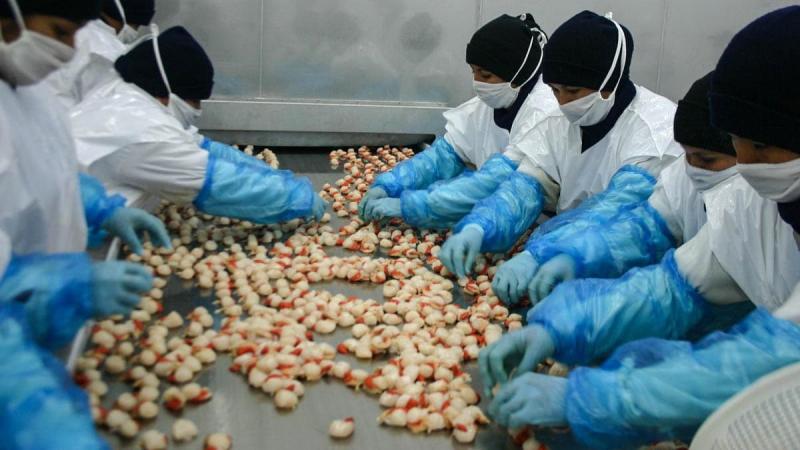 Acuapesca invierte más de US$ 1 millón para ampliar su capacidad de almacenamiento