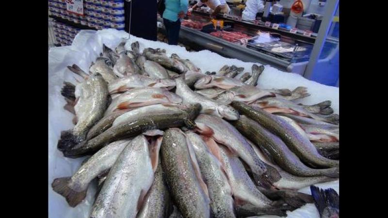 Acuijunín proyecta duplicar su producción de trucha el 2019