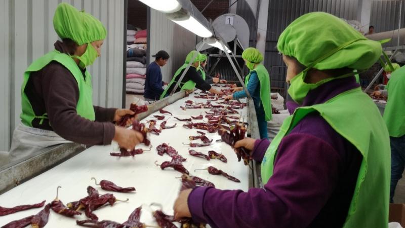ADEX: agroexportaciones peruanas llegaron a 128 mercados en el primer cuatrimestre del 2025