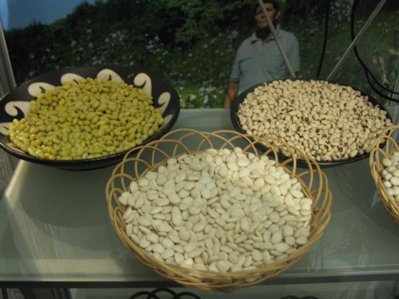 ADEX PIDE AL GOBIERNO PROMOCIONAR FRIJOLES PERUANOS