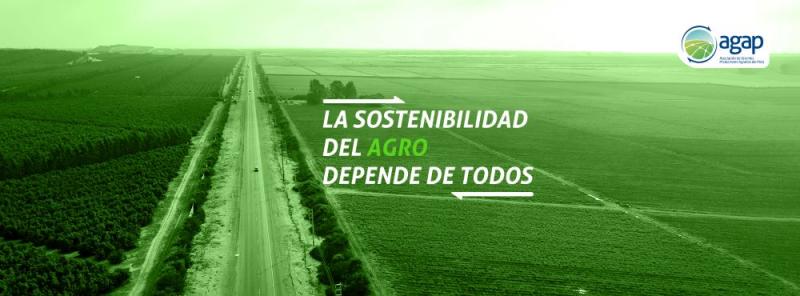 AGAP crea área de Sostenibilidad