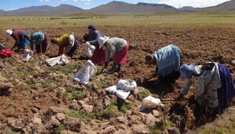 “Agricultura bajo ataque”