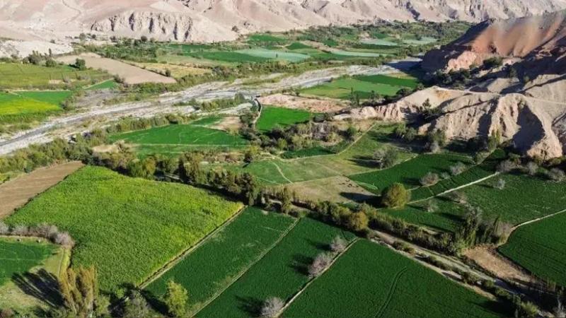 Agro en espera de 15 proyectos de irrigación y nueva Ley Agraria