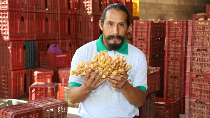 Agro Green Pérez se alista para iniciar exportaciones