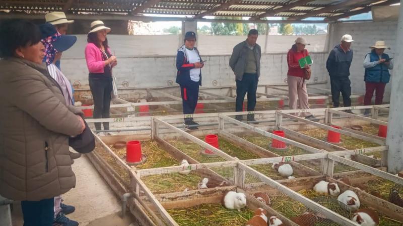 Agro Rural capacita a productores de cuyes de Junín