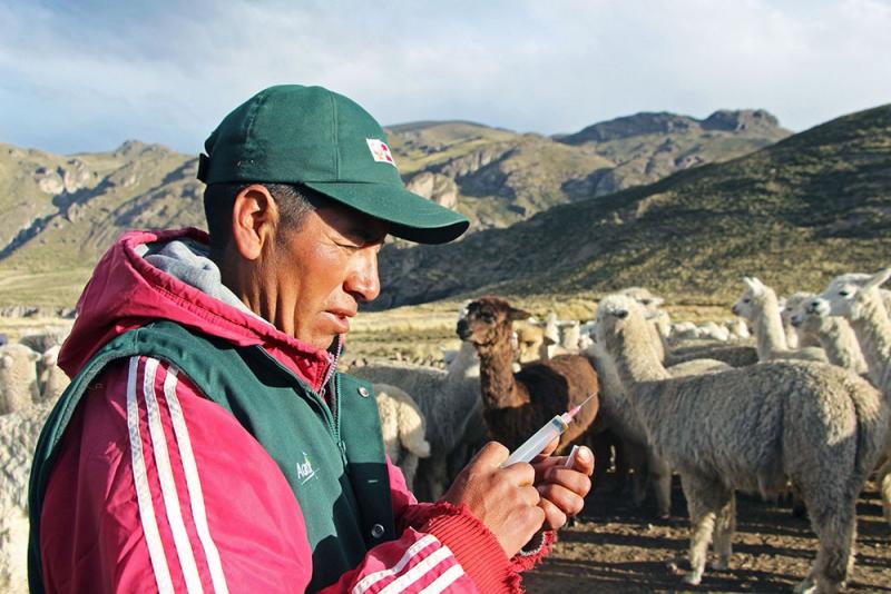 Agro Rural realizará seminario con especialistas nacionales e internacionales sobre desarrollo agropecuario