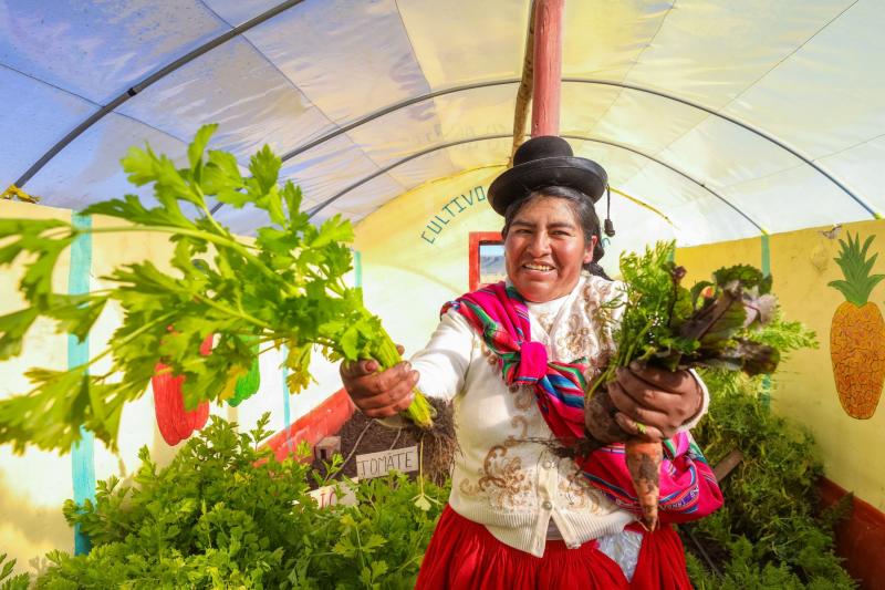 Agrobanco desembolsa S/ 617.6 millones en 58.000 créditos a productoras