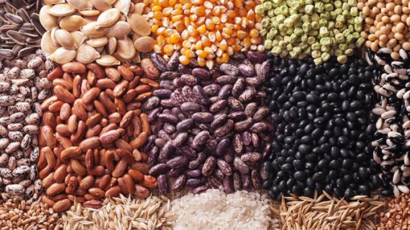 Agrobiodiversidad y protección de semillas son esenciales para garantizar la alimentación