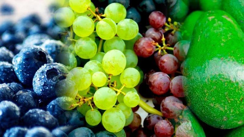 Agroexportaciones no tradicionales de Perú han mantenido una tasa de crecimiento promedio de 13.4% en los últimos cinco años