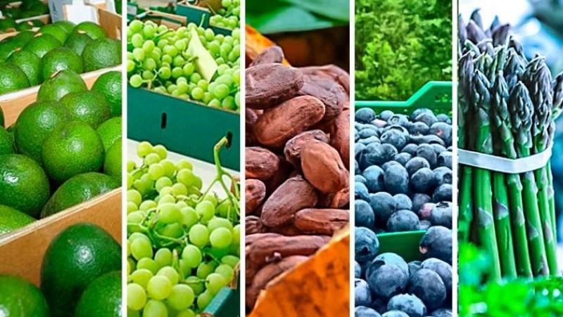 Agroexportaciones participaron con el 10% de las exportaciones peruanas hasta mayo