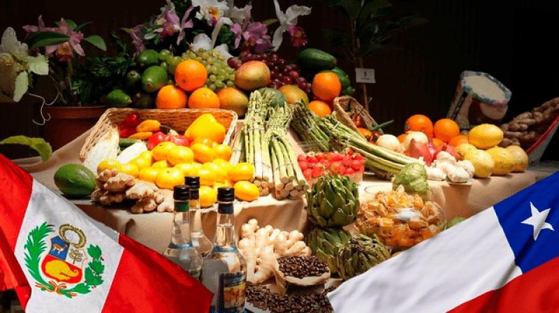 Agroexportaciones peruanas a Chile sumaron US$ 177 millones por 112 mil toneladas entre enero y mayo de 2025