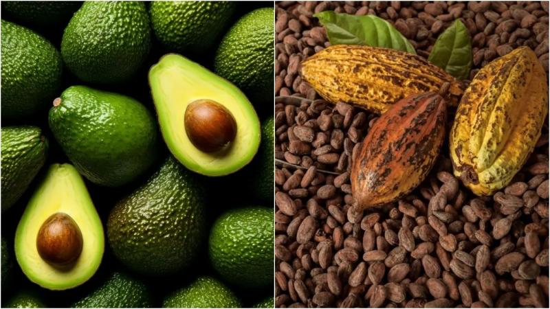 Agroexportaciones peruanas crecen 23% en la primera mitad de 2025