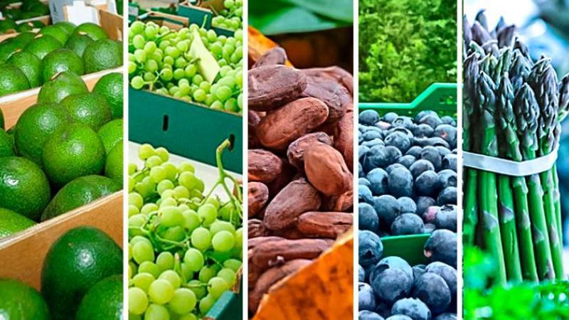 Agroexportaciones peruanas crecieron en valor 21.82% en 2024