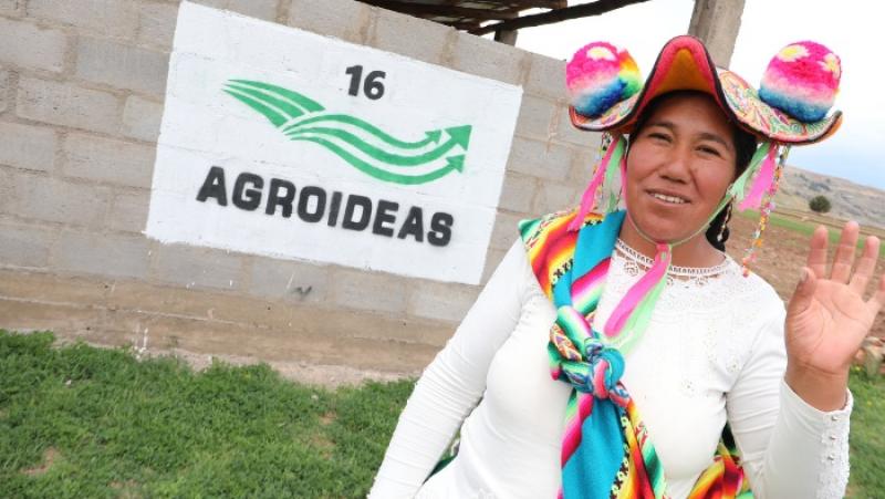 Agroideas aprueba 168 planes a nivel nacional