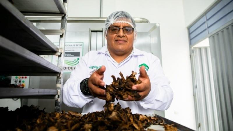 Agroideas renueva instructivo para fortalecer organizaciones agrarias
