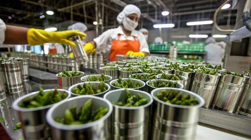 Agroindustria fue el sector con el mayor número de empresas exportadoras en el primer bimestre de 2025