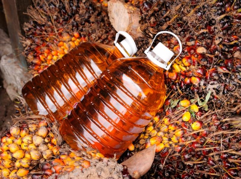 Agroindustria, textil y confecciones tienen oportunidades en Costa Rica