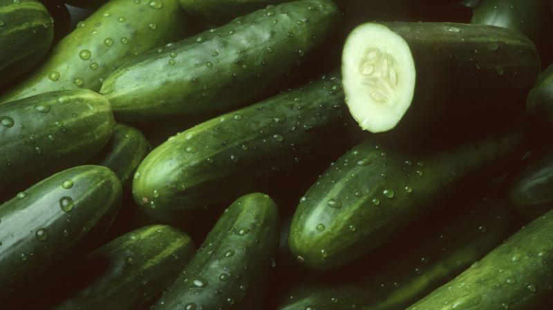 Alemania preocupada por el alto precio del pepino