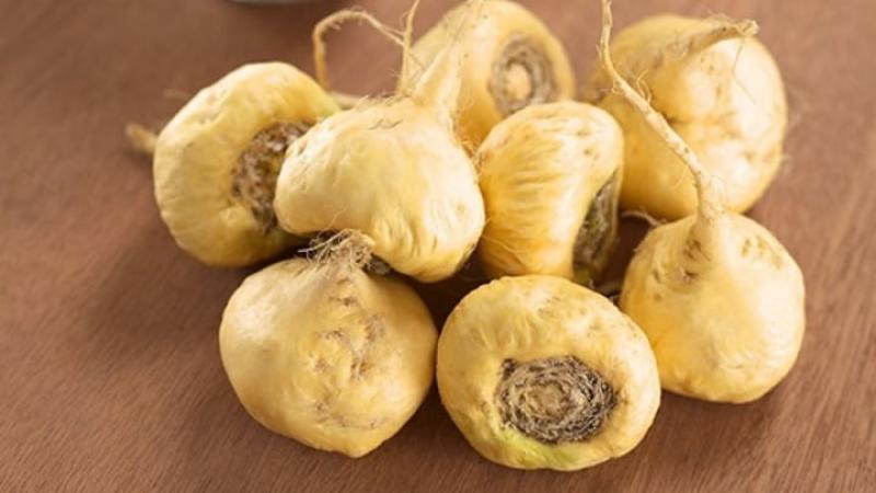 Alertan que empresa en EE.UU. y una universidad en China quisieron patentar productos que contenían maca peruana