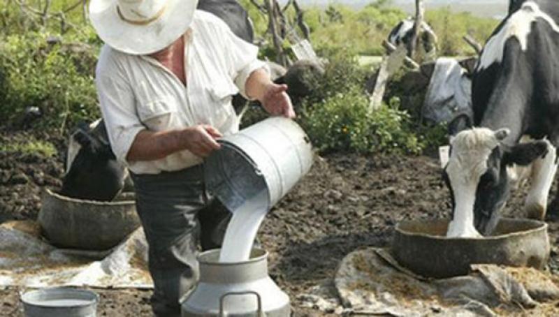 Alrededor de 400.000 litros de leche se pierden diariamente en Arequipa debido protestas y bloqueo de carreteras