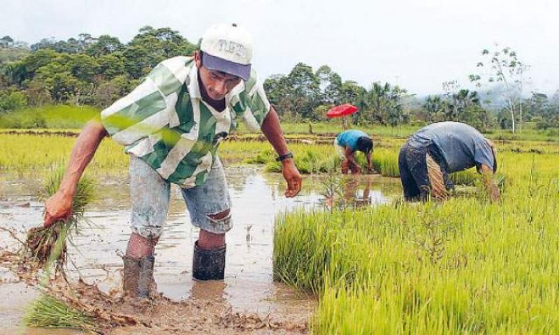 ANA INVERTIRÁ S/. 1.5 MILLONES EN ASESORAMIENTO A JUNTAS DE USUARIOS