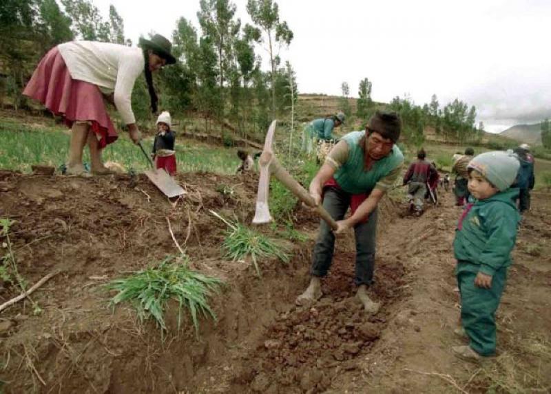 APRUEBAN CRÉDITO POR US$ 80 MILLONES PARA TITULACIÓN DE PREDIOS RURALES