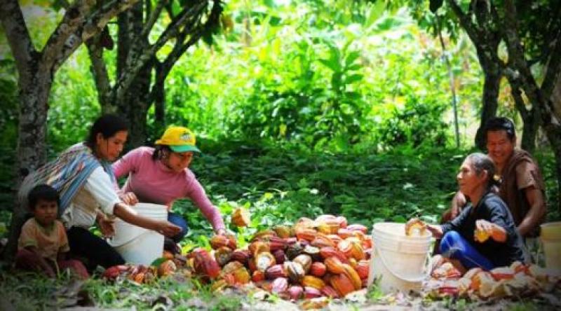 APRUEBAN PROYECTO DE LEY “SIERRA Y SELVA EXPORTADORAS”