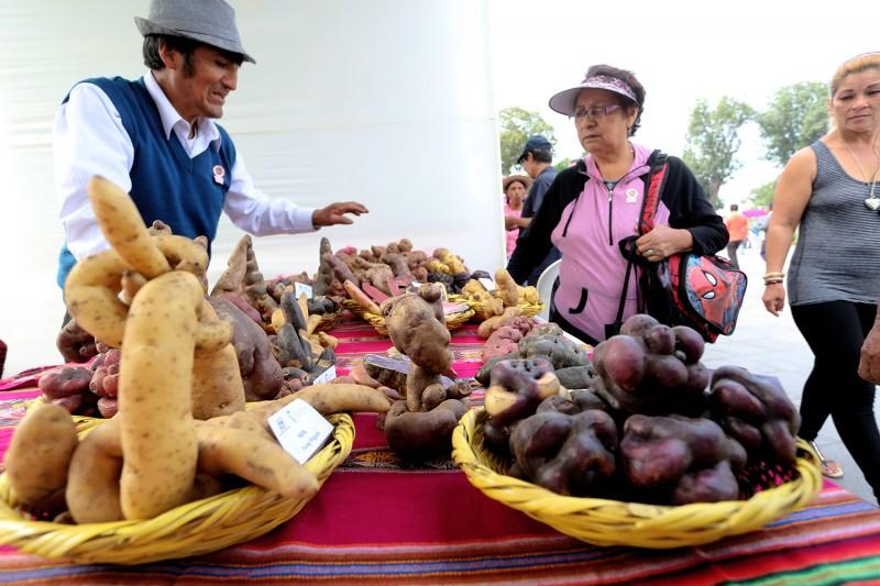 Aprueban reglamento de la Ley de Promoción del Desarrollo de Mercados de Productores