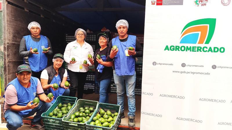 Articulación de Agromercado facilita la exportación de 30 toneladas de palta de productores de Junín
