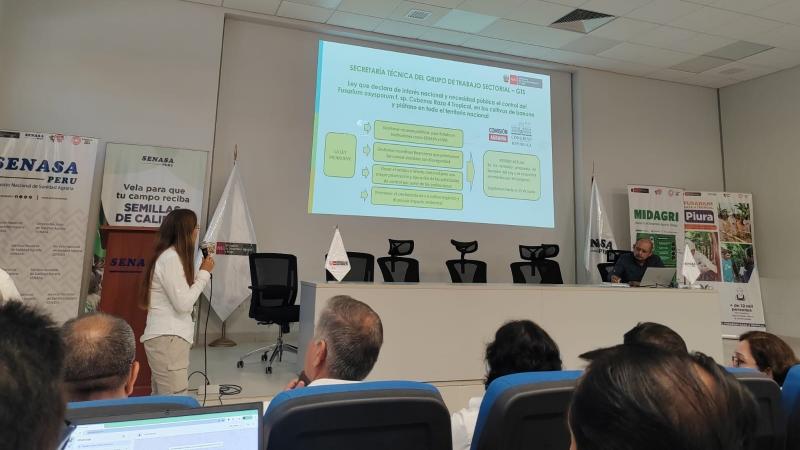 Articulan acciones para enfrentar la emergencia fitosanitaria del cultivo de banano