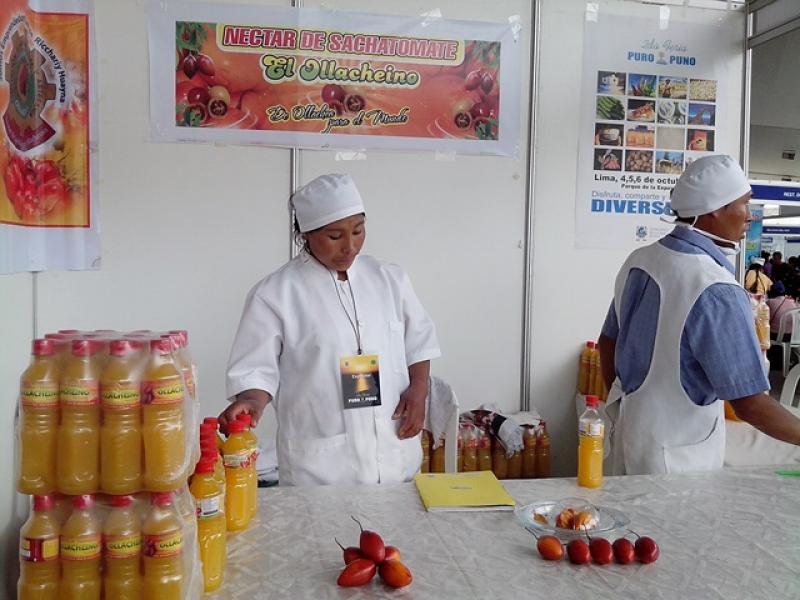 ASOCIACIÓN PUNEÑA TRIPLICARÍA PRODUCCIÓN DE NÉCTAR DE SACHATOMATE EN 2014