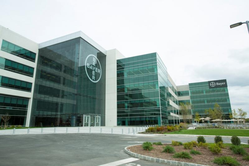 Bayer apuesta por el tomate y las cebollas