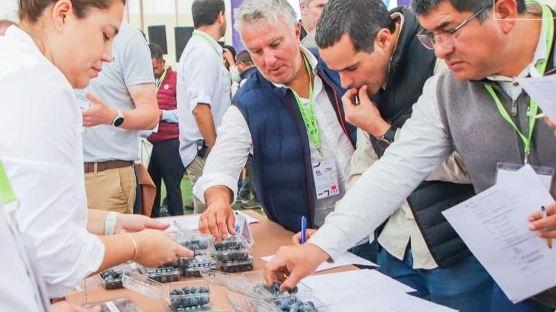 Bloom Fresh realizó con éxito su primer Open Day Blueberry en Chiclayo