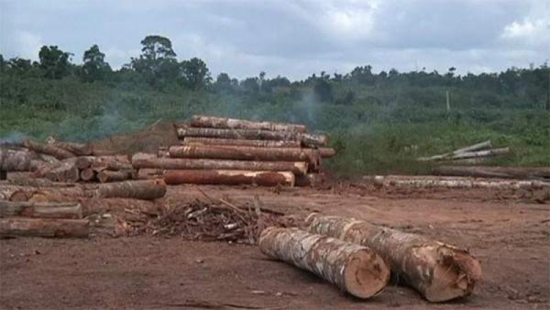 Bolsonaro deja las tierras de los indígenas en manos del Ministerio de Agricultura
