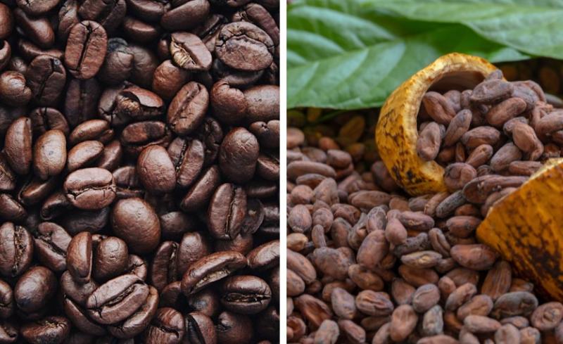 Cacao y café: los granos que buscan repetir hazaña