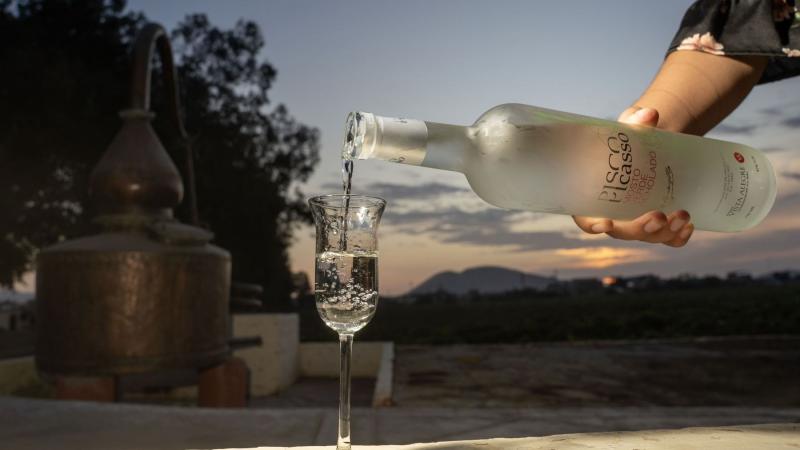 Cadena de valor del pisco genera más de 40,000 puestos de trabajo entre directos e indirectos