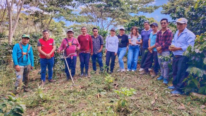 Café de alta calidad del Vraem en los ojos de Noruega