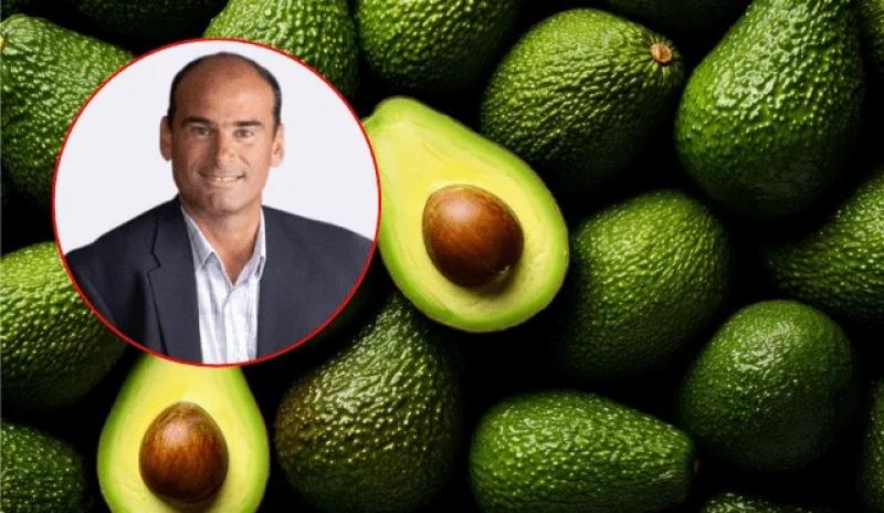 Calidad es el eje del crecimiento responsable y sostenible de la industria de la palta hass de Perú